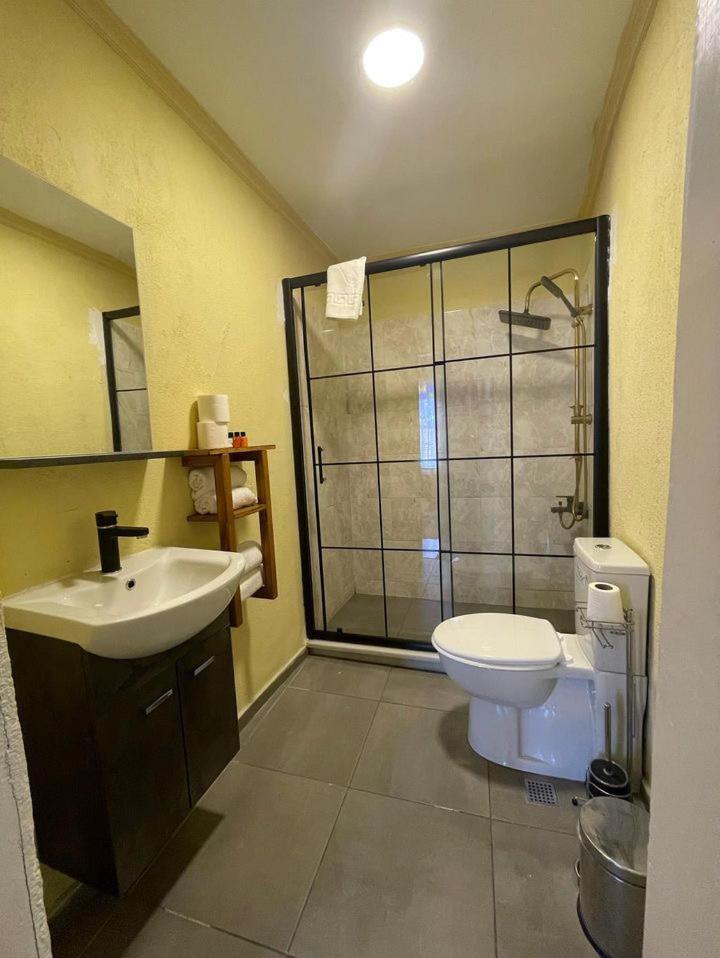 The Local Hostel & Guesthouse 伊斯坦布尔 外观 照片